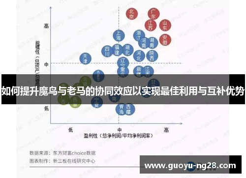 如何提升魔鸟与老马的协同效应以实现最佳利用与互补优势 如何提升魔鸟与老马的协同效应以实现最佳利用与互补优势