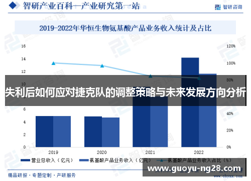 失利后如何应对捷克队的调整策略与未来发展方向分析