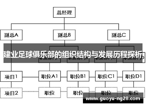 建业足球俱乐部的组织结构与发展历程探析