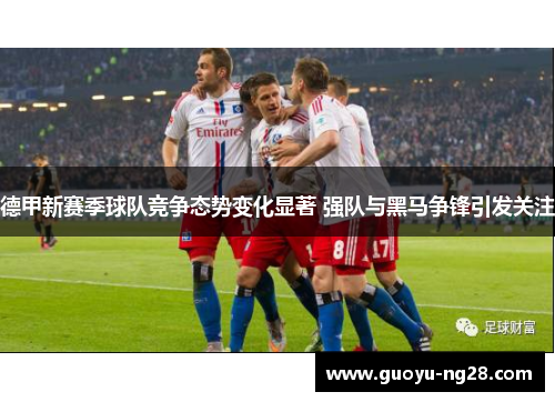 德甲新赛季球队竞争态势变化显著 强队与黑马争锋引发关注