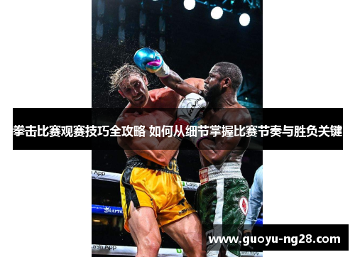 拳击比赛观赛技巧全攻略 如何从细节掌握比赛节奏与胜负关键 拳击比赛观赛技巧全攻略 如何从细节掌握比赛节奏与胜负关键