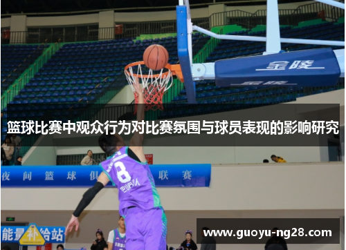 篮球比赛中观众行为对比赛氛围与球员表现的影响研究